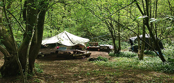 Base camp